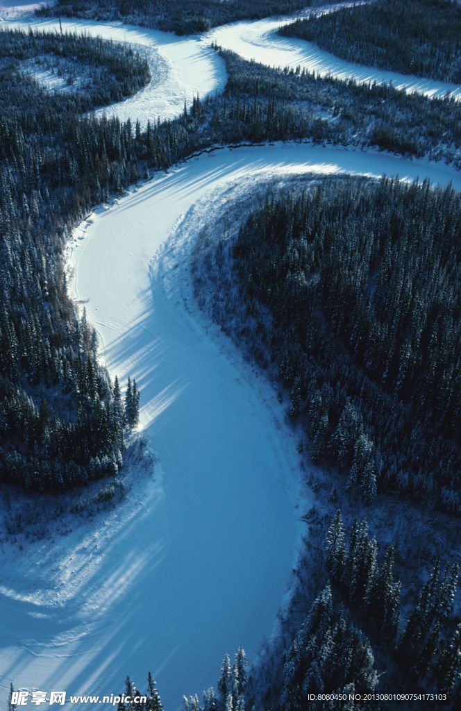 雪后森林