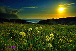 夕阳