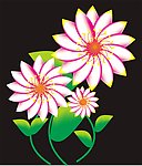 花纹