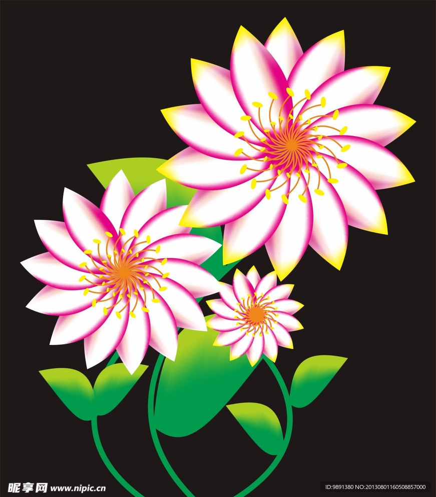 花纹