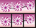 花纹