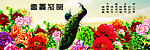 富贵花开