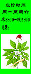 中医 门诊