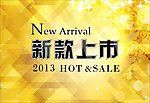 2013 新款上市