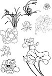 一些花矢量图