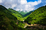 绿色山谷