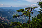 山脉树林