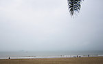 大海