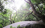 南普陀寺