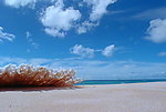 海浪