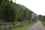 田间小路