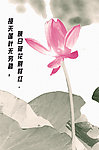 荷花水墨画