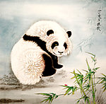 欣赏