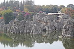 石林
