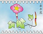 牵牛花