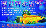 海底水水族馆彩页