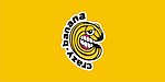 水果logo
