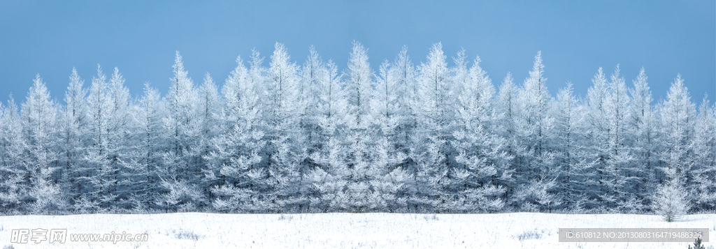 雪景