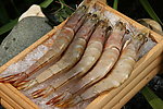 海虾
