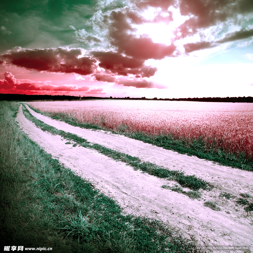 小路图