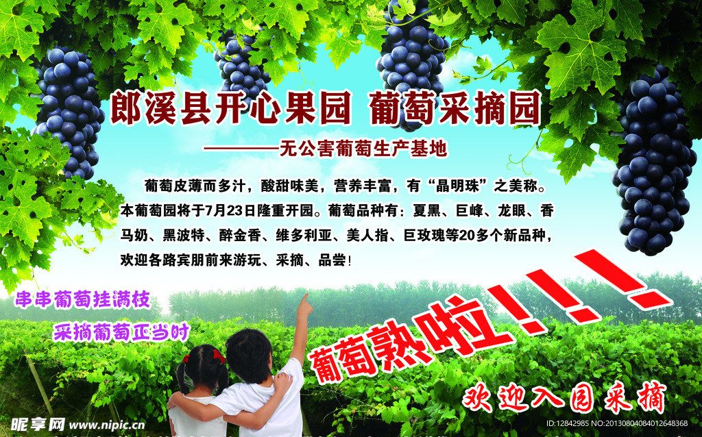 开心葡萄采摘园彩页