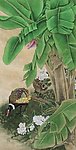 锦鸡芭蕉