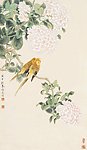 琼花鹦鹉