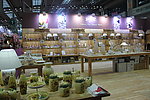 陶瓷瓷器