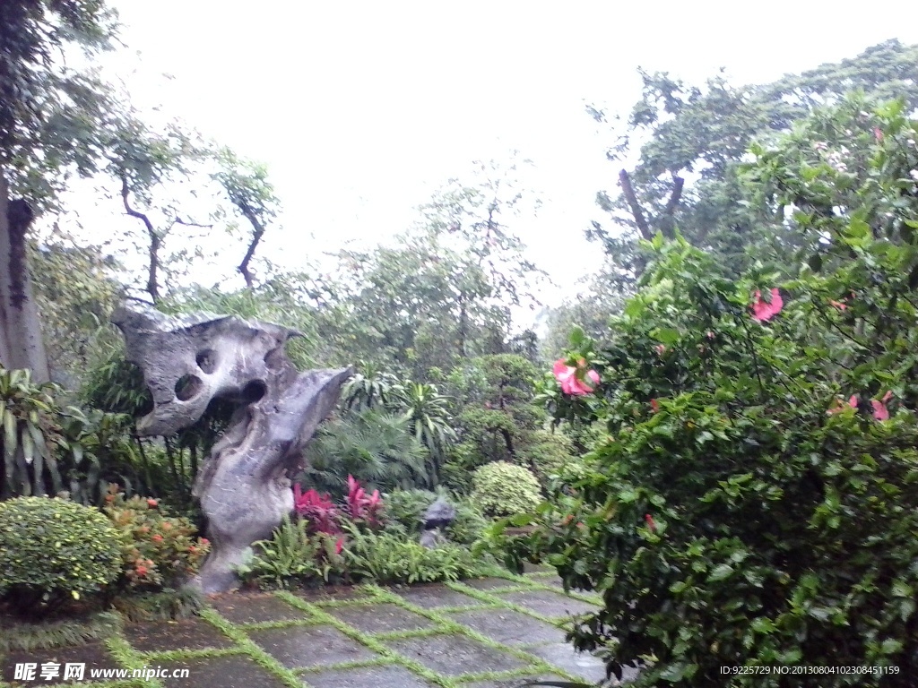 越秀公园 风景 花草