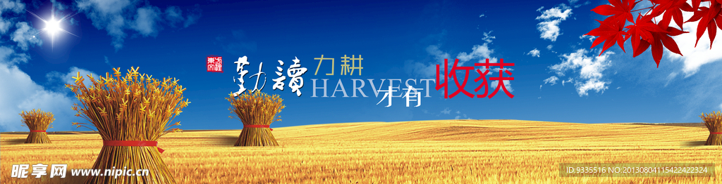 企业文化展板
