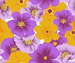 面料花纹