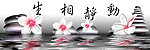 动静相生无框画