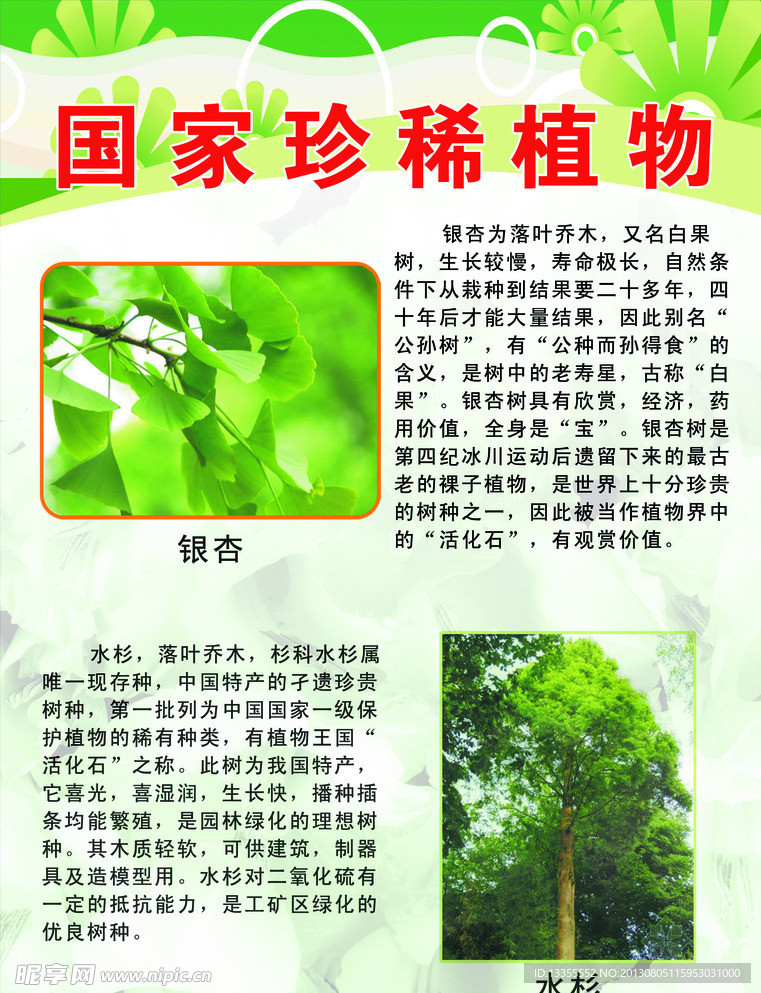 国家珍稀植物