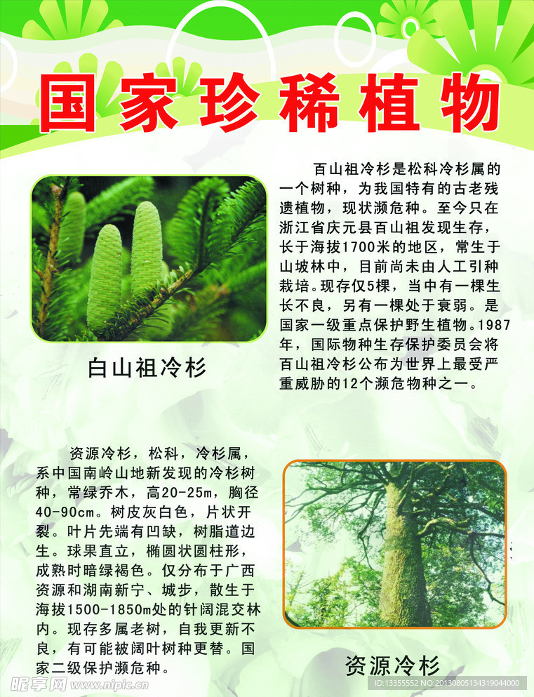 国家珍稀植物