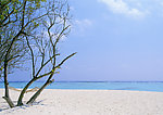 海边风景
