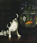 小狗与鱼缸