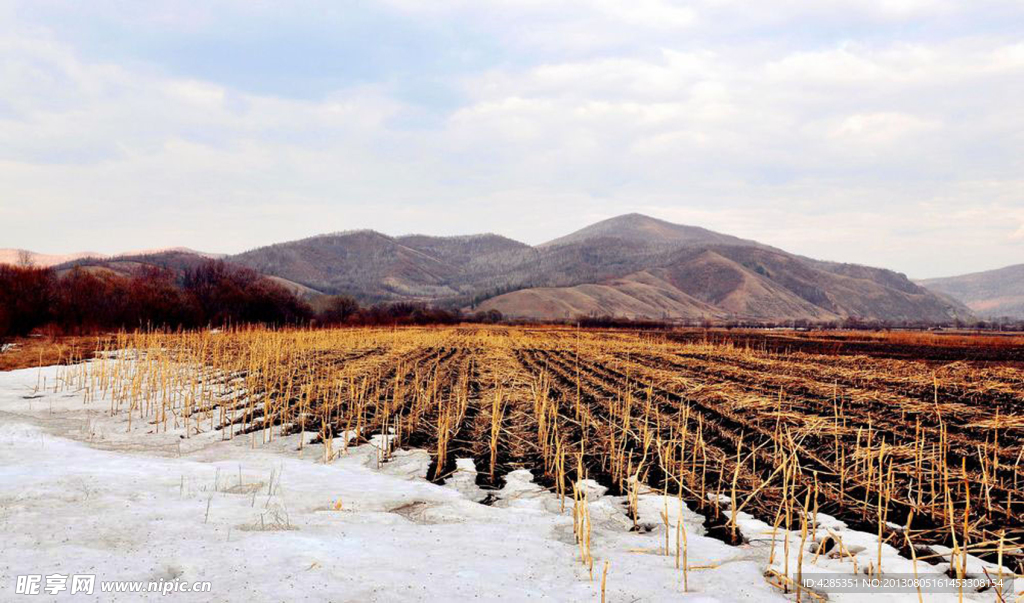 山峰麦田