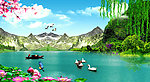 湖泊 鸭子