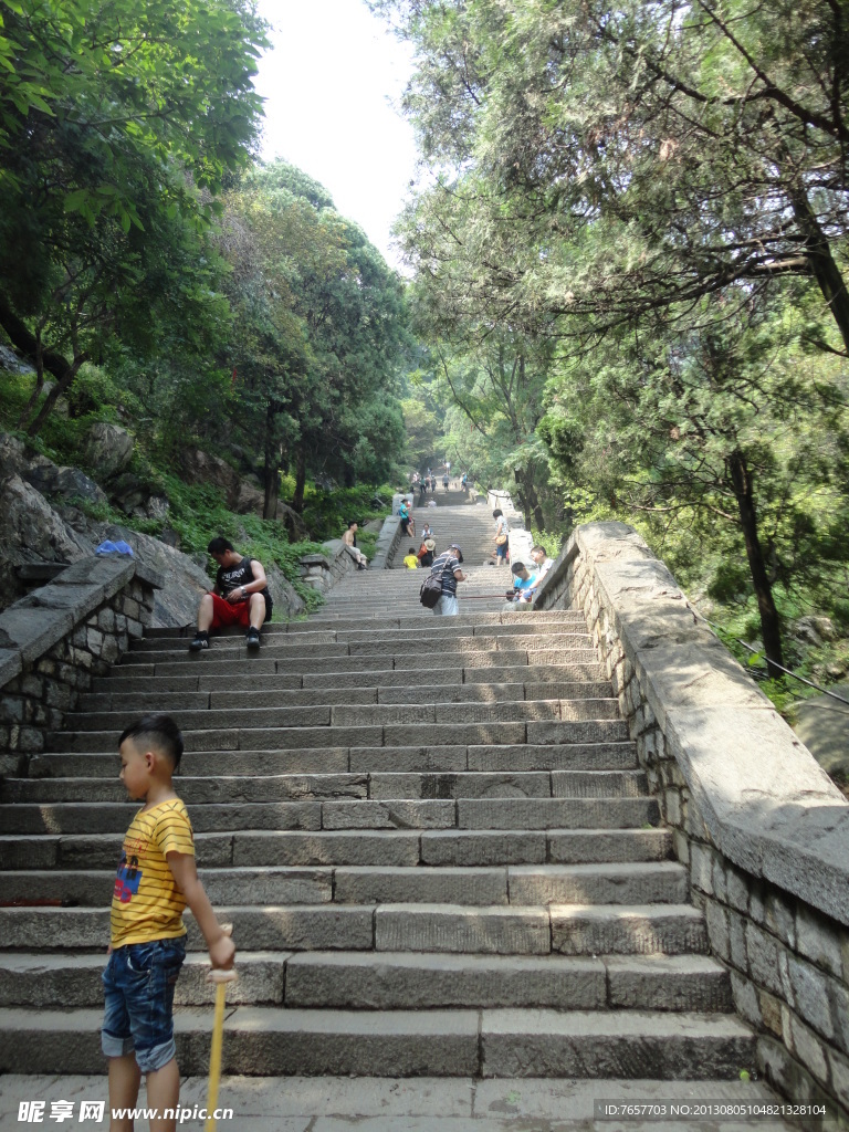 泰山