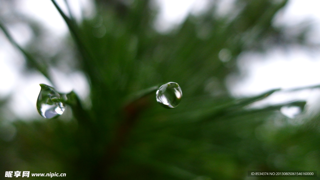 闫玫的雨滴