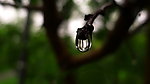 闫玫的雨滴