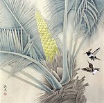蜂鸟