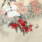 白鹦鹉