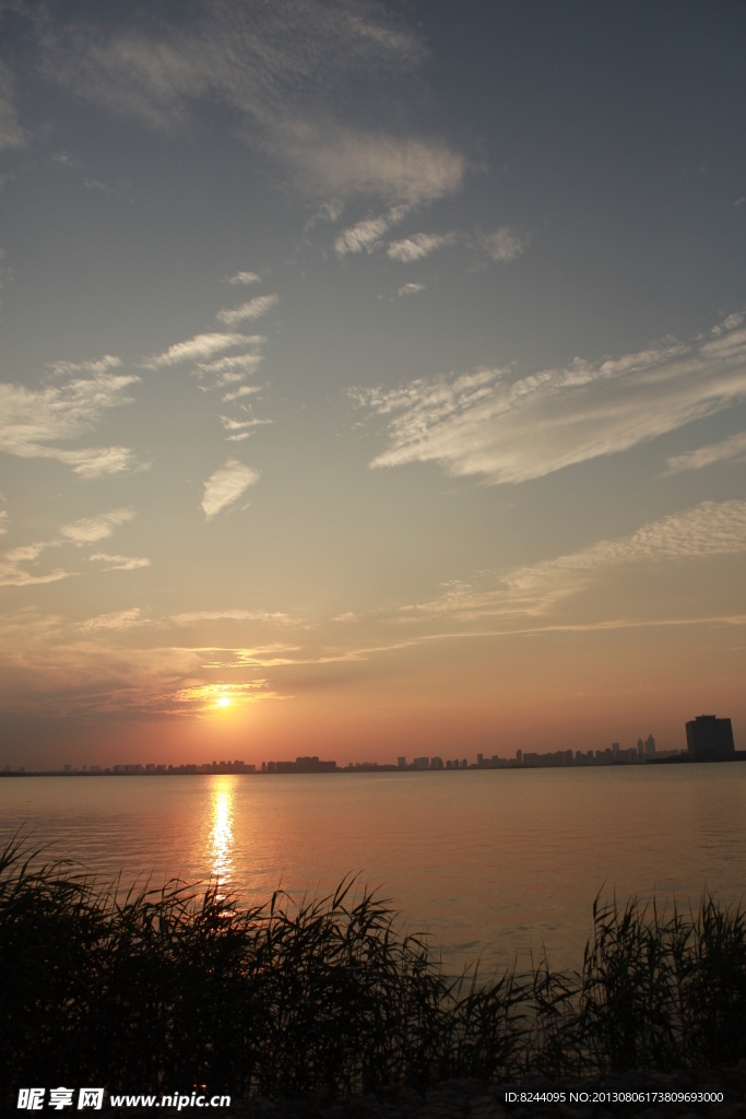 夕阳下的芦苇荡