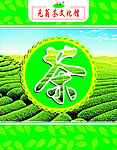 茶叶