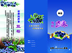 蓝莓三折页