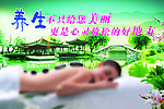 养生活动海报
