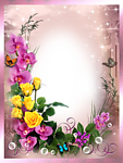 花样相框