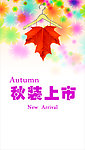 2013秋装上市海报