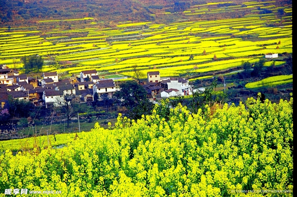 江西风光
